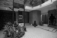 The Palm Spa